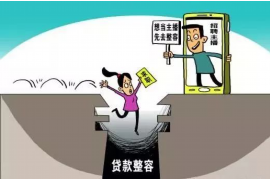 郸城郸城的要账公司在催收过程中的策略和技巧有哪些？